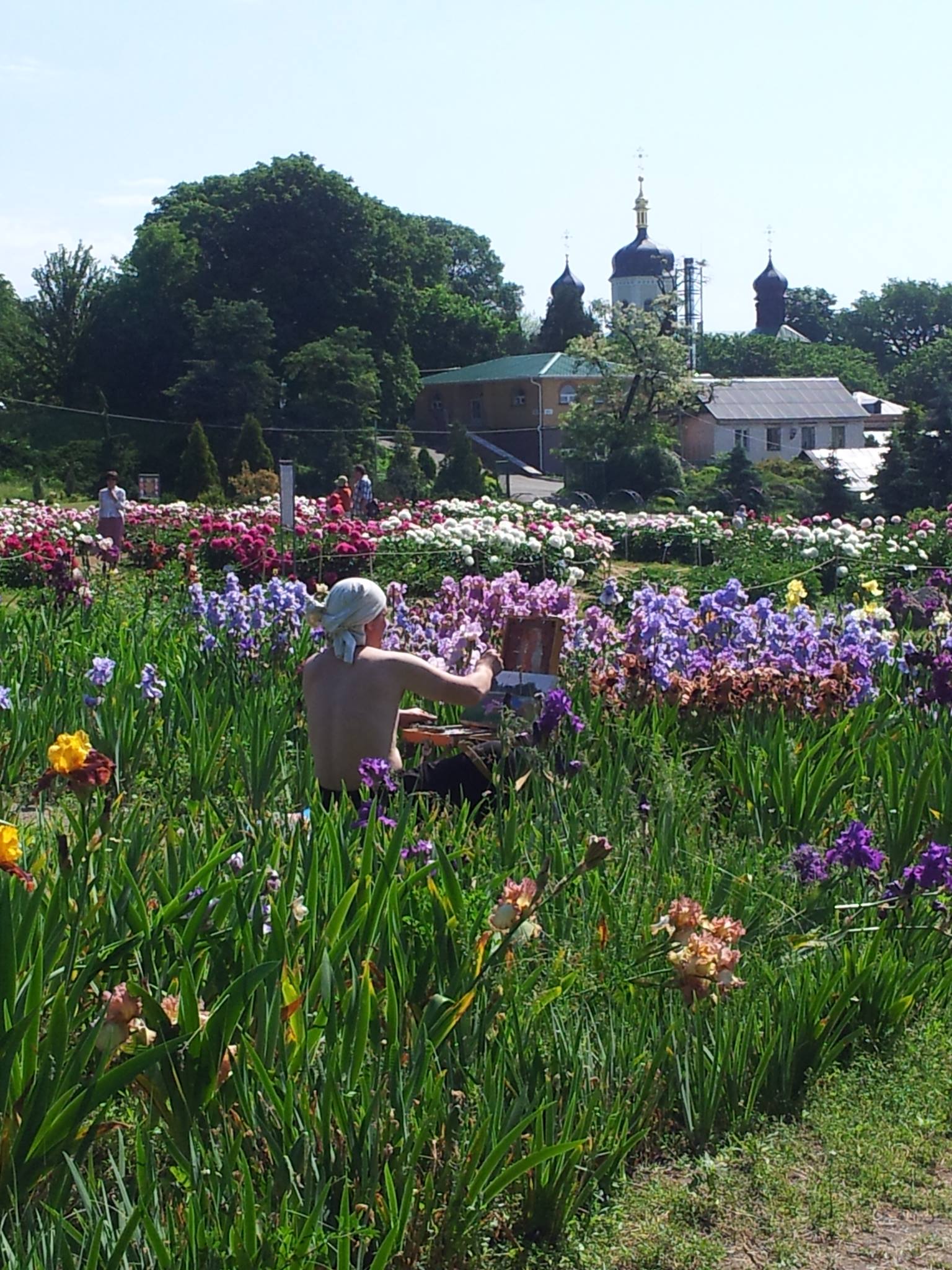 10388693_10154207642310607_1107900941_o